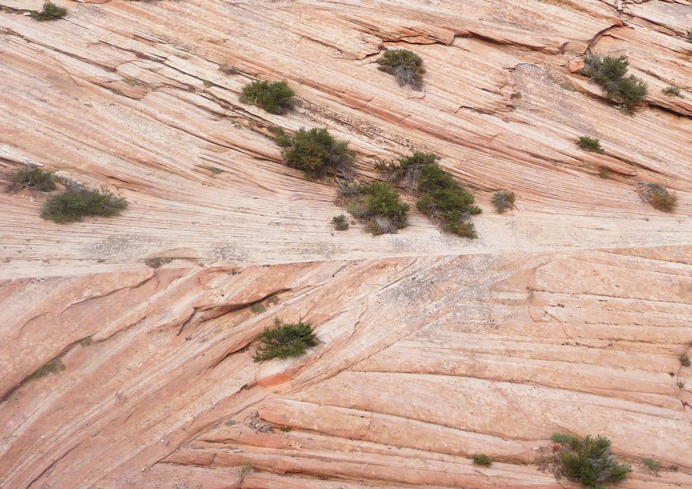 Red sandstone with bedding planes at various angles. 