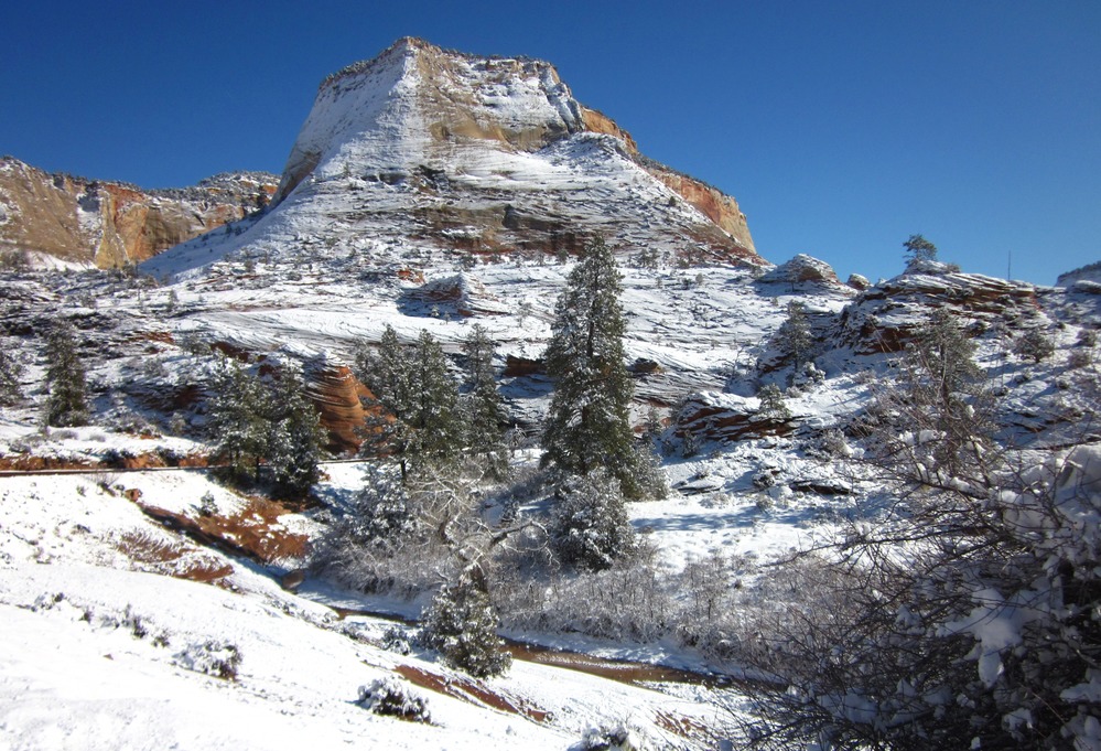 A snow covered landscape has a few trees growing. 
