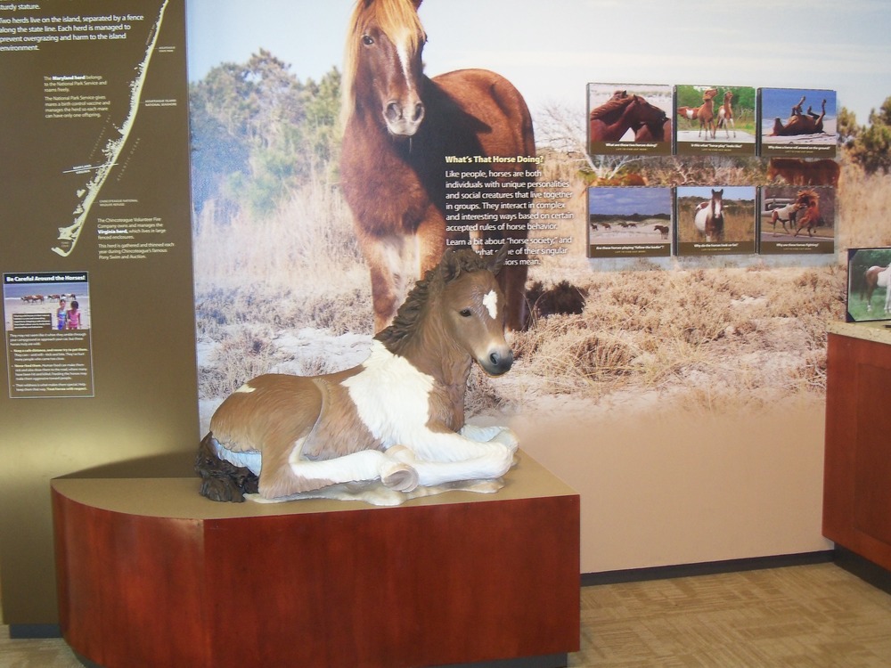 A pony statue for the Assateague's Wild Horses display