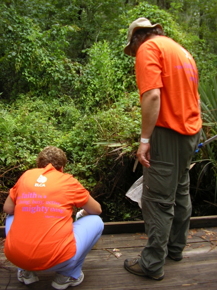 ELCA at Barataria Preserve 21