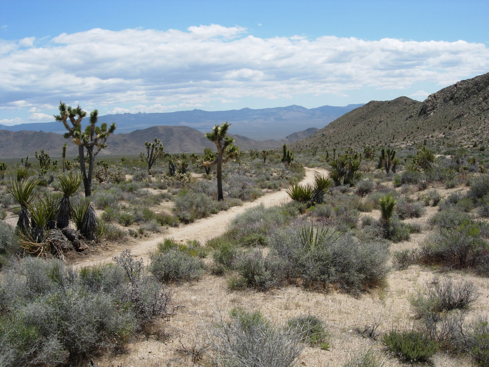 Mojave Road, California