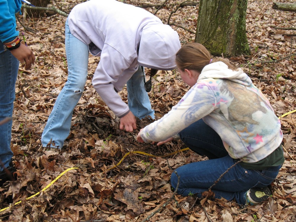 Salamander Transect Program