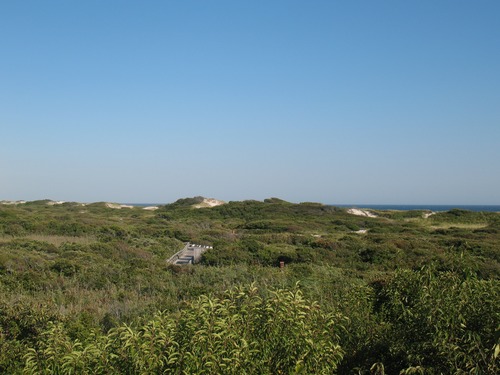 View from Watch Hill Nature Trail platform, overlooking the campground nestled among thick shrubs in the swale. High dunes and a glimpse of the Atlantic Ocean are in the background.