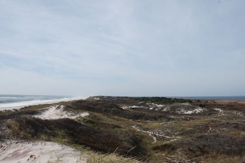 Ocean to bay view of Fire Island Wilderness looking west from atop high dune at former settlement of Skunk Hollow.