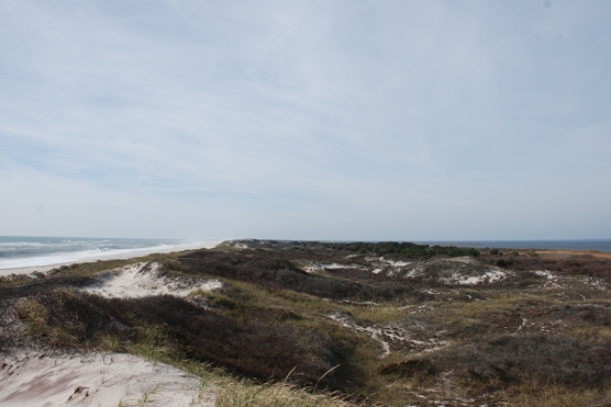 Ocean to bay view of Fire Island Wilderness looking west from atop high dune at former settlement of Skunk Hollow.
