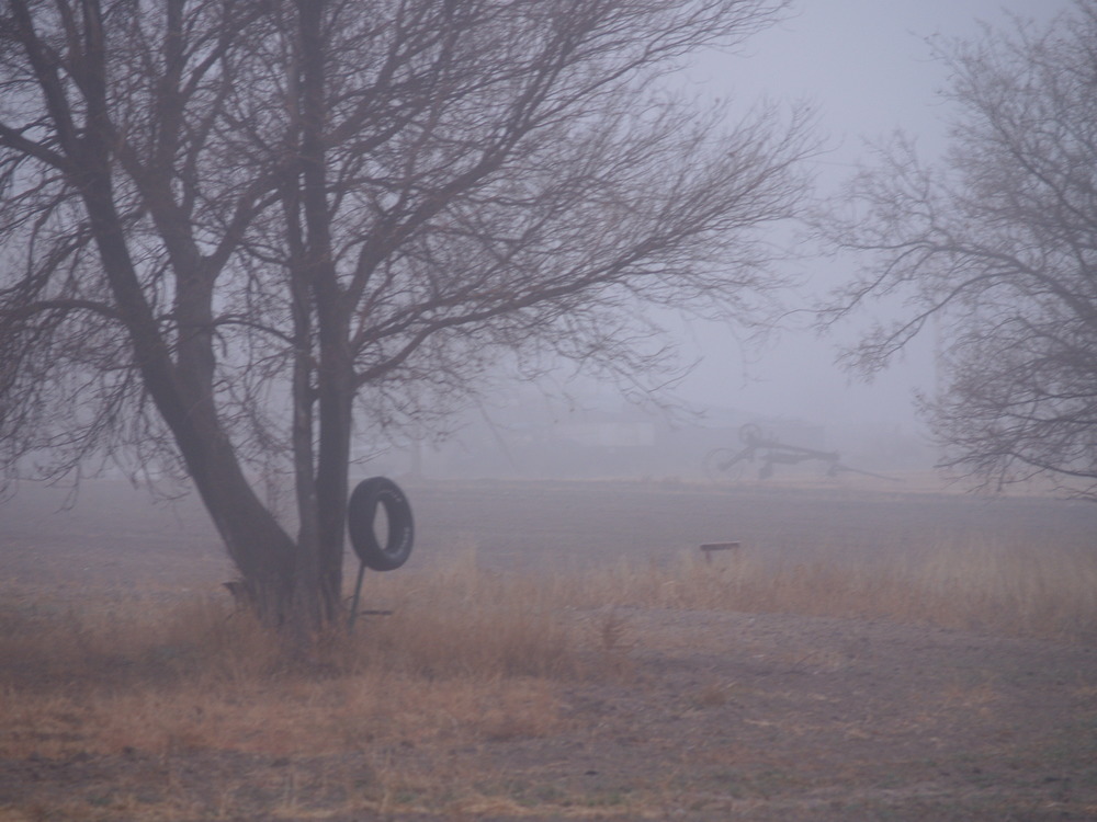 Foggy Morning in Nicodemus Township