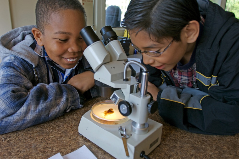 Kids using microscopes on BRJ