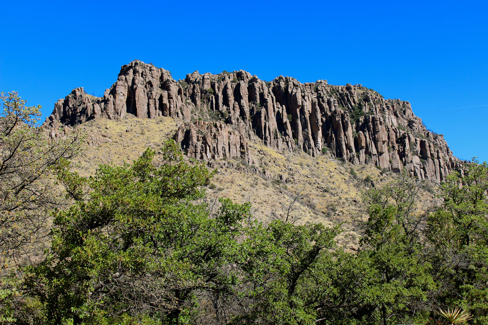 Scenic view seen as you drive through the park. 
