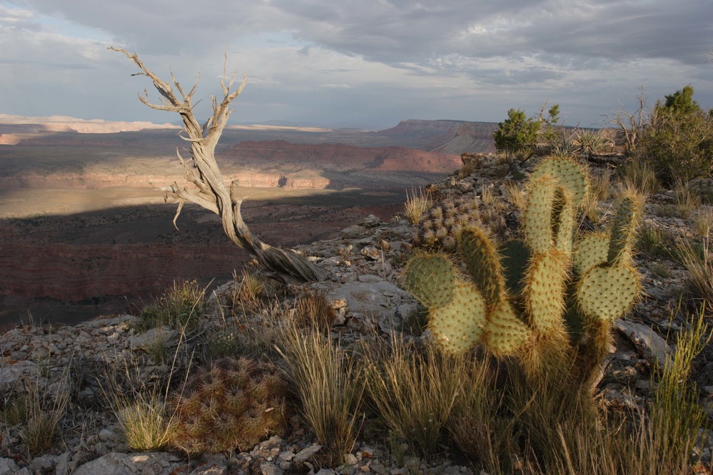 Looking over Burnt Canyon from Twin Point