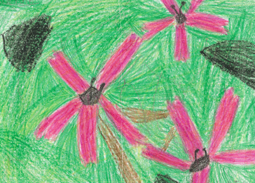 Fire Pink - Divide Elementary - K. Jackson