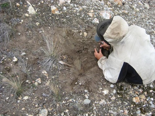 Initial discovery of the site