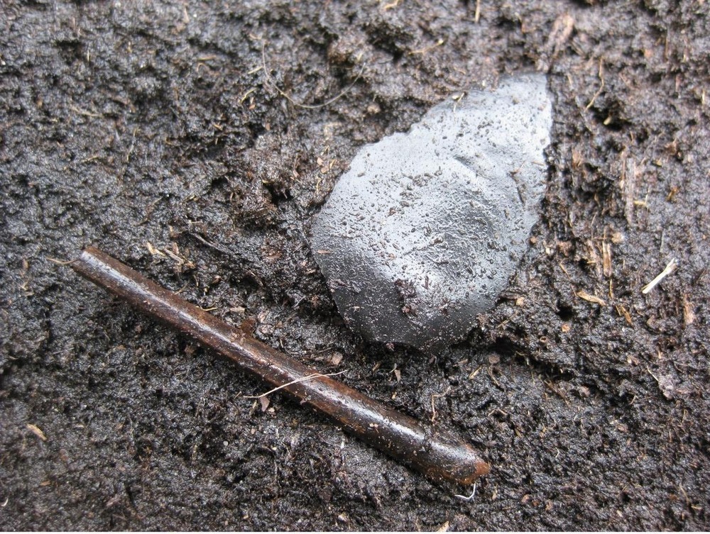 Flake Tool and Bird Bone in situ
