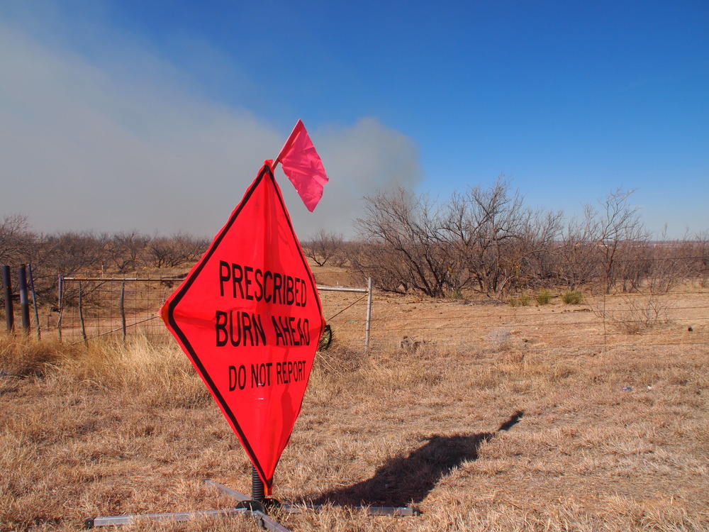 A temporary orange road sign warns drivers of the prescribed burn.