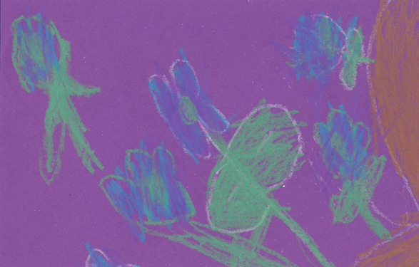 Phlox - Divide Elementary - S. Armstrong