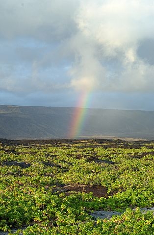 A rainbow colors the uplands.