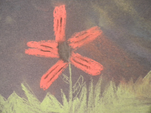 Fire Pink - Independence Middle School - Jacob