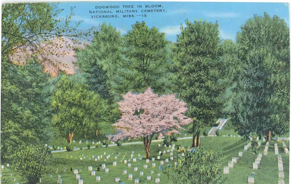 Early 20th century postcards of Vicksburg National Cemetery