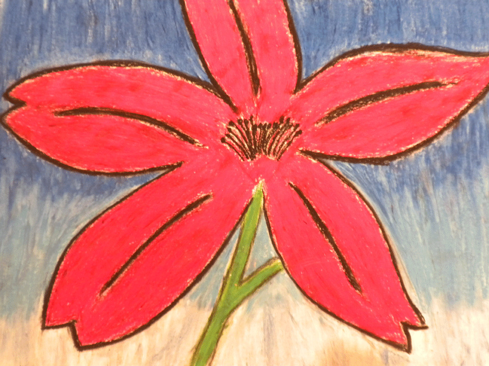 Fire Pink - Independence Middle School - Katlyn