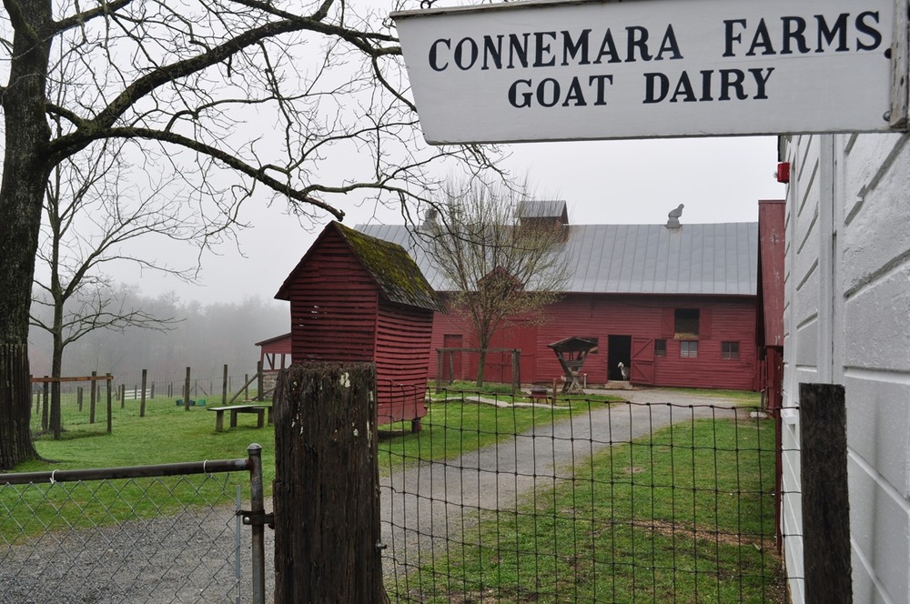 An early morning at Connemara Farms.