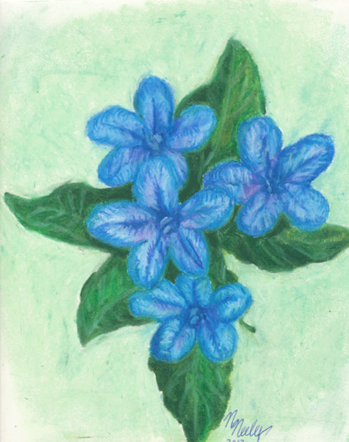 2012S-9-MariamNeeley-SummersCountyHS