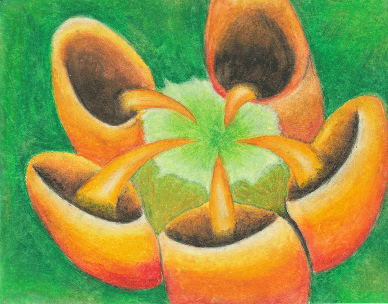 2012R-11-AlexaHendricks-LibertyHS