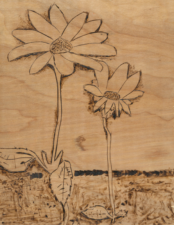 2012F-11-PaulCooper-MidlandTrailHS