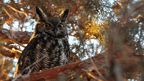 You never know who you'll find in the high desert...