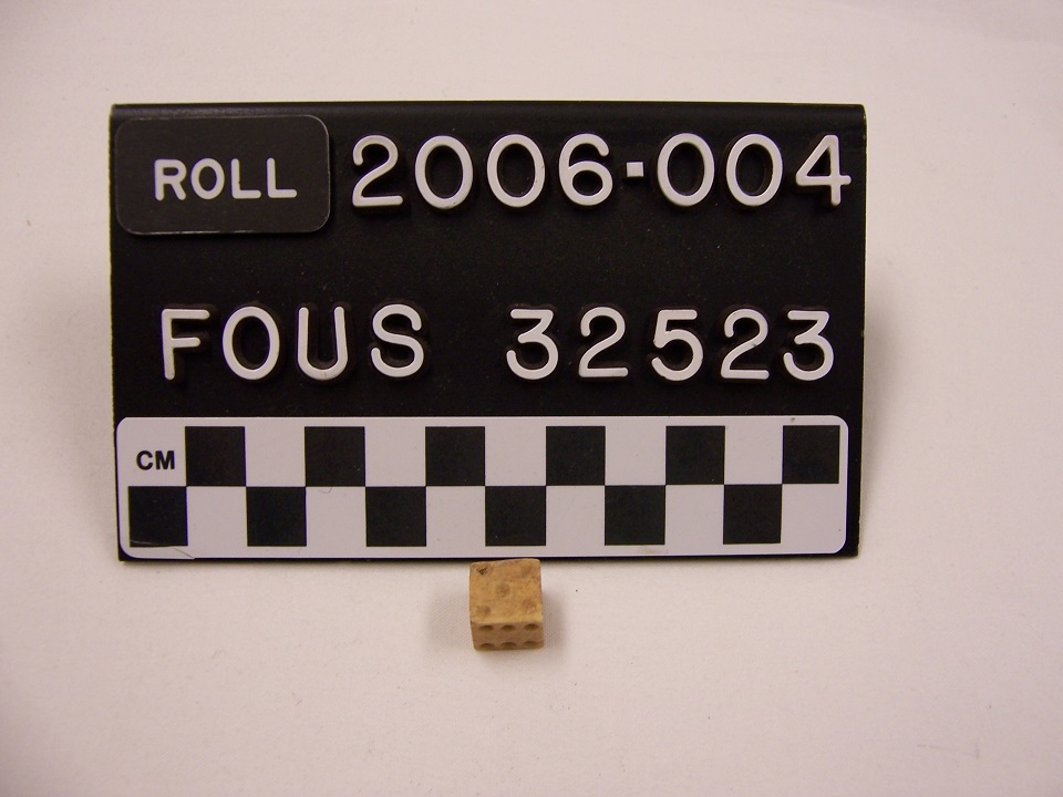 Euro-American style bone die.