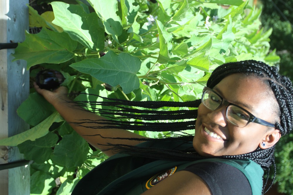 Little Rock Central High School National Historic Site Volunteer