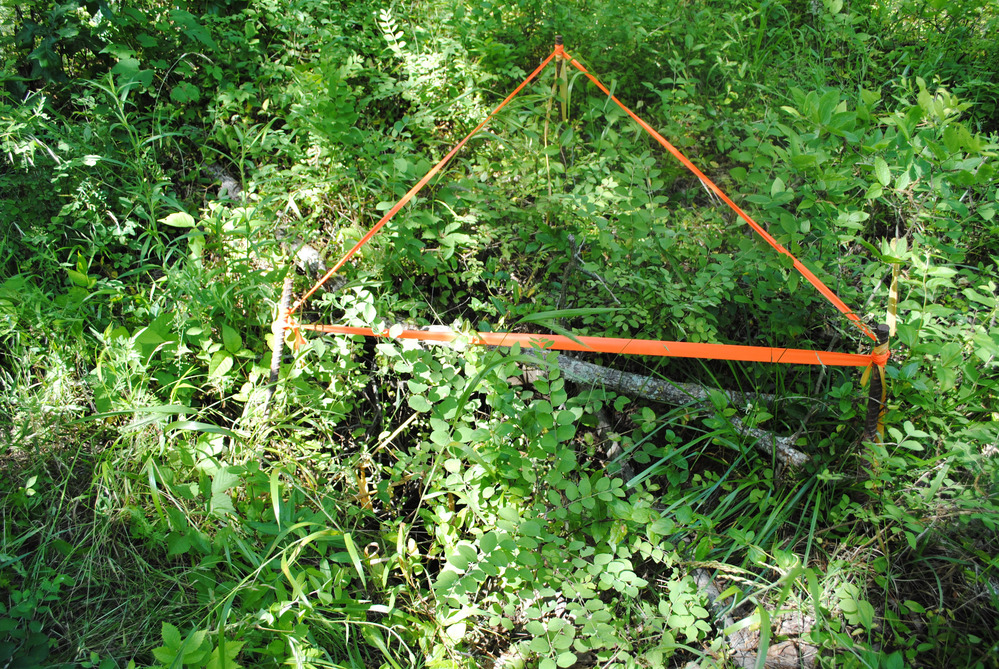 Well at Foster's Lane, Pea Ridge National Military Park