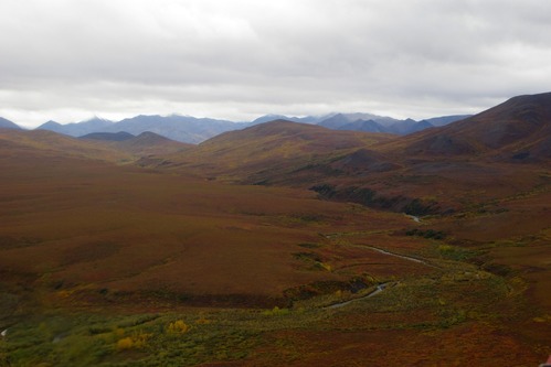 Aerial view of mountains and red tundra