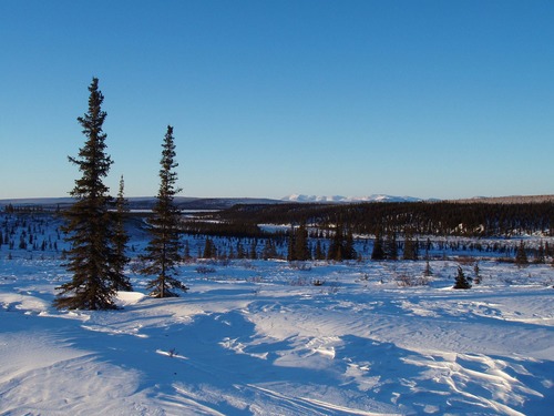 Winter on Hugo Creek