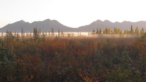 Fog over forest and valley