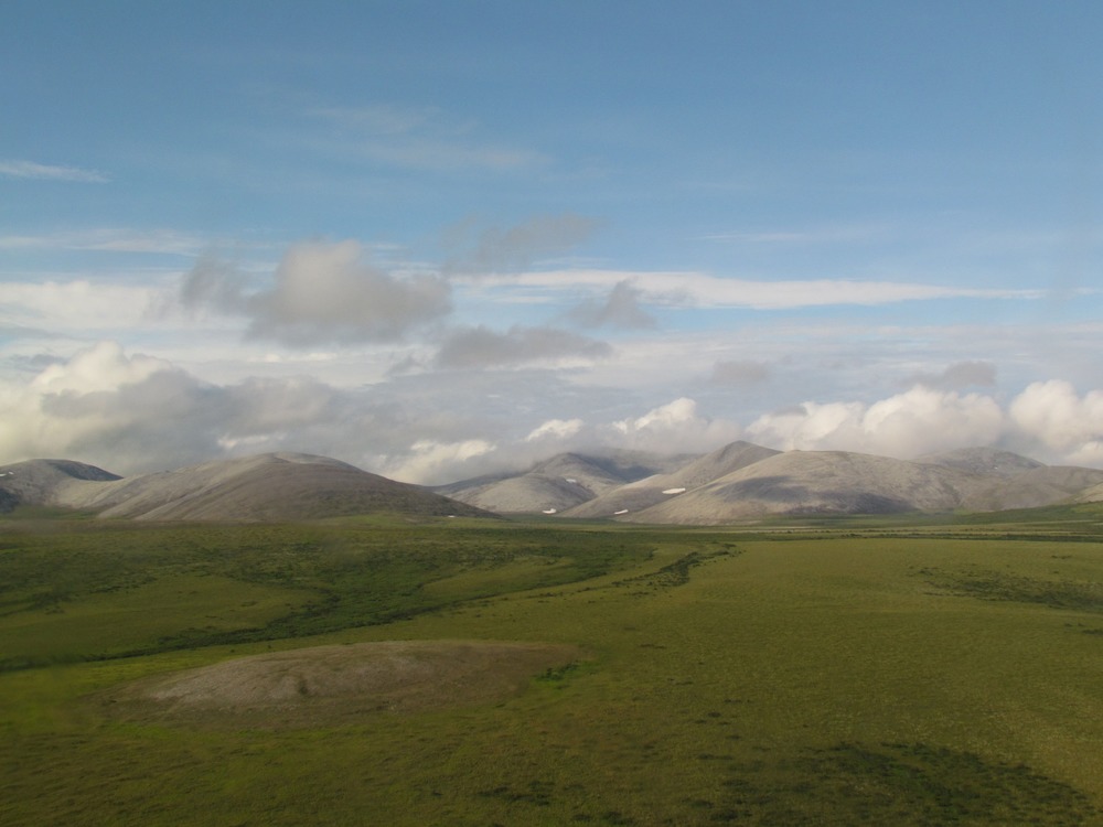 Landscape of blue sky, green tundra and round mountains.