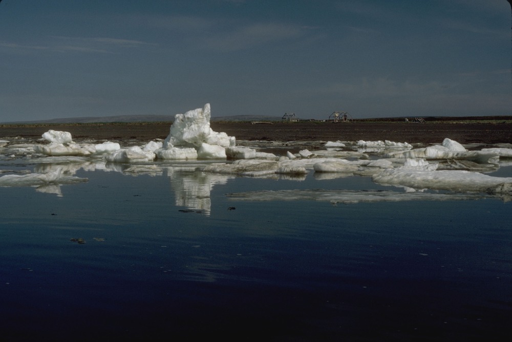 Chunks of sea ice along a shoreline