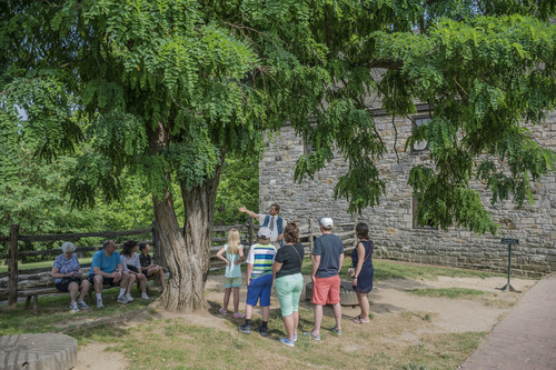 A group of visitors listening to a living history interpreter under a tree 
