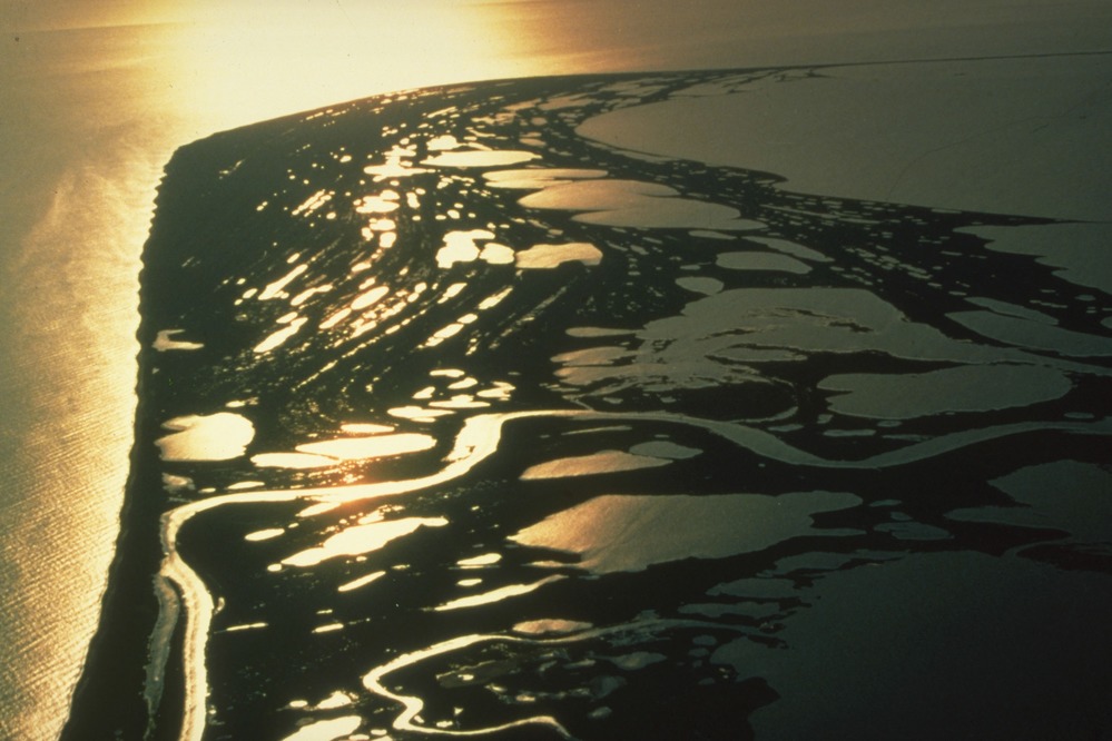 Aerial view of beach ridges and wetlands