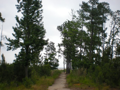 Almost to Black Point, the James River is just visible in the background.