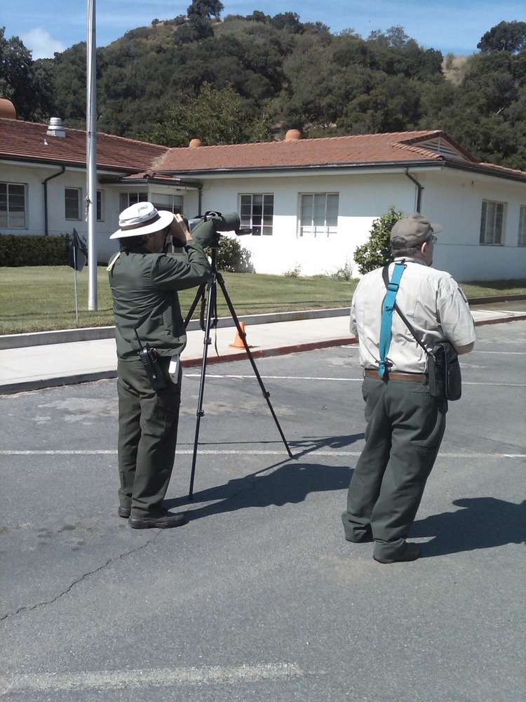 Ranger Jack Scopes Juncos