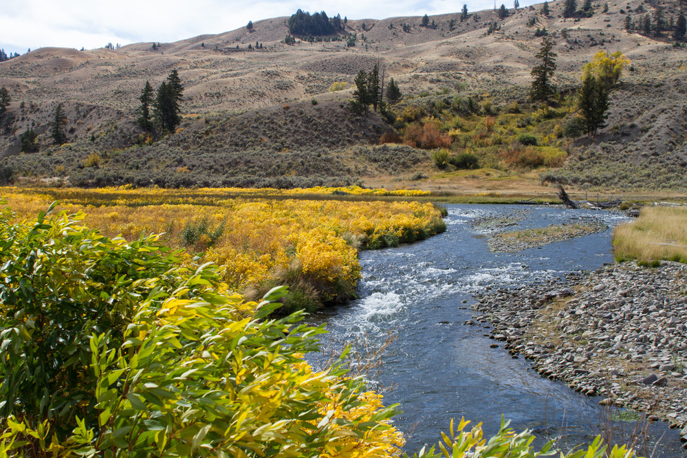 Fall color along the Gardner River