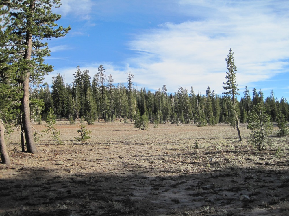 The trail to Cold Boiling Lake is gentle and one of the shortest hikes in the park.