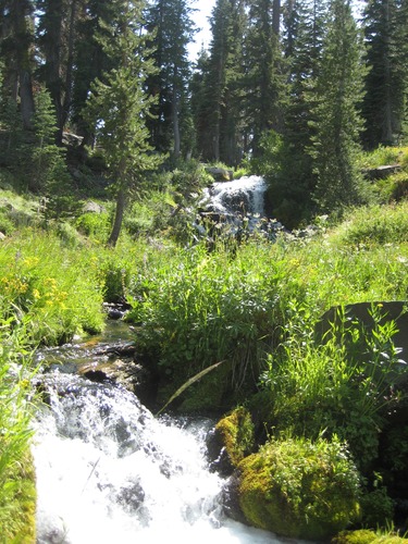 Hat Creek runs alongside the trail and is lush with vegetation even during the dry season.