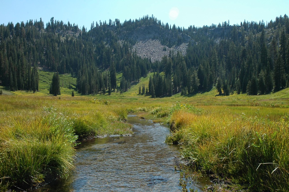 Hat Creek is fed by springs at Paradise Meadow just below Lassen Peak. Flowers bloom in July and August.