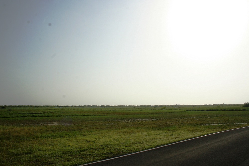 View of the openness of the coastal prairie