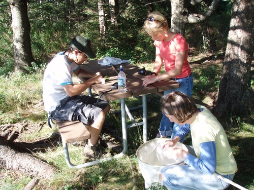 BioBlitz participants look through their finds to see if there are any species worth keeping.