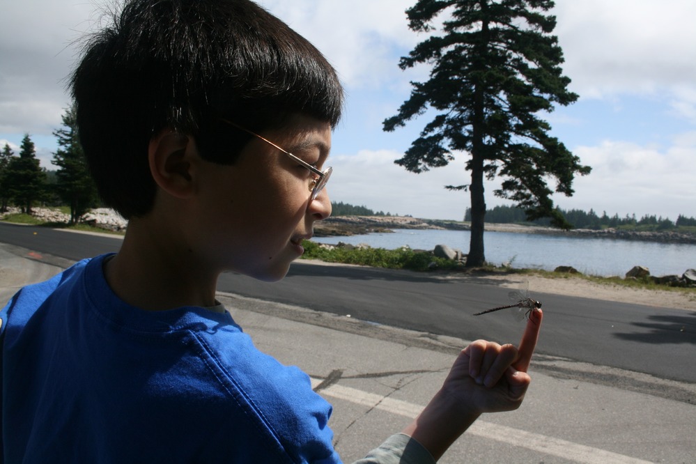 Insect enthusiast Brandon watches a dragonfly (from the order Odonata, not Hemiptera) land on his finger.