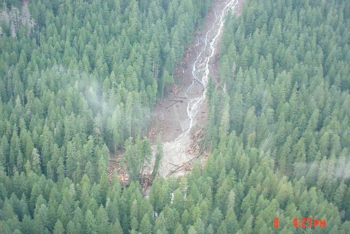 An aerial view of a landslide cutting a path through a forest. 