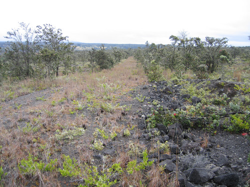 A cleared, flattened area indicates the former location of a road.