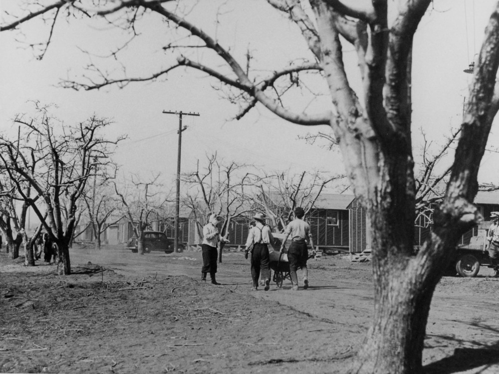Newcomers move into Manzanar, a War Relocation Authority center for evacuees of Japanese ancestry.