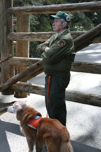 A volunteer in uniform holding the leash of an old golden retriever wearing a service animal vest stands on a road next to a closed, large wood-log gate. 